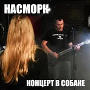 Насморк